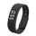 Rise Band